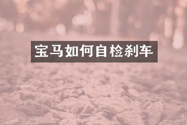 宝马如何自检刹车