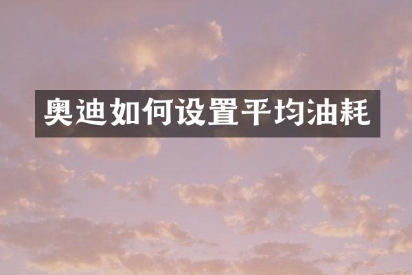 奥迪如何设置平均油耗