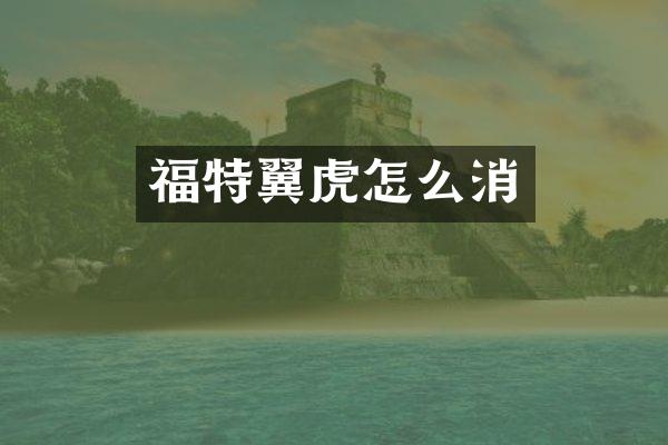 福特翼虎怎么消
