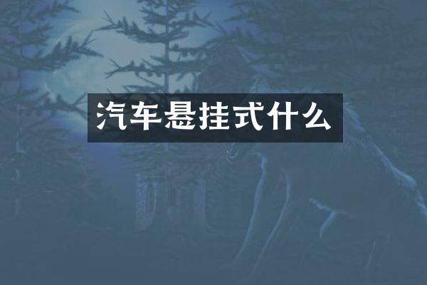 汽车悬挂式什么