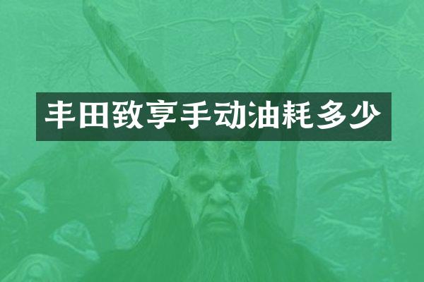 丰田致享手动油耗多少