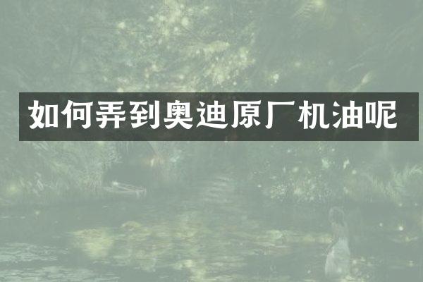如何弄到奥迪原厂机油呢