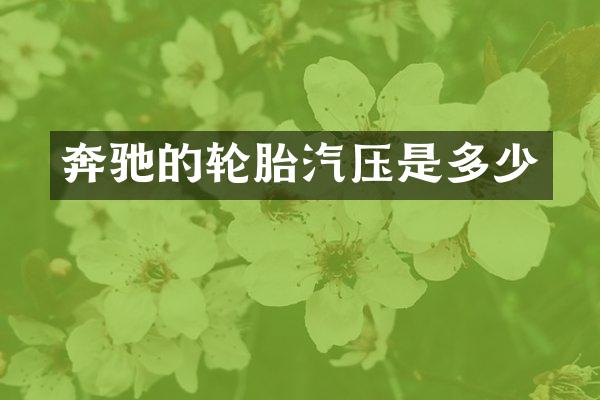 奔驰的轮胎汽压是多少