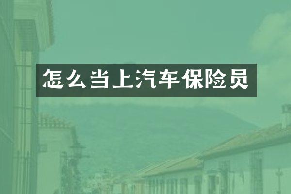 怎么当上汽车保险员