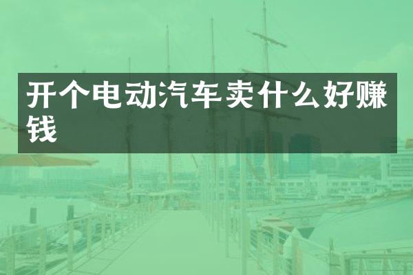 开个电动汽车卖什么好赚钱