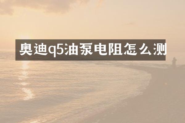 奥迪q5油泵电阻怎么测