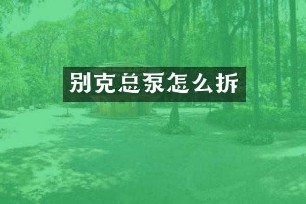 别克总泵怎么拆