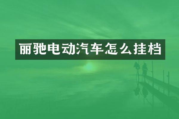 丽驰电动汽车怎么挂档