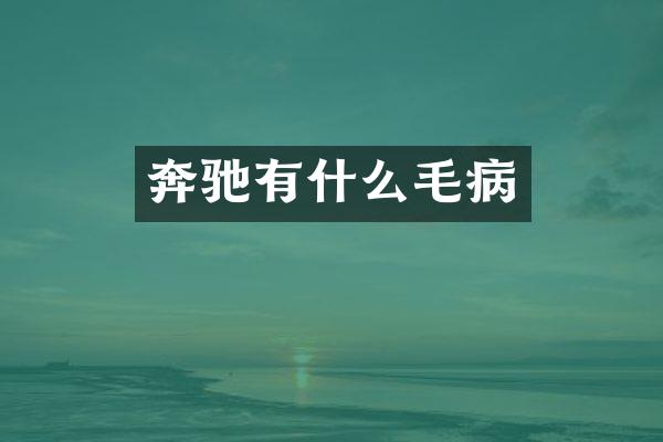 奔驰有什么毛病