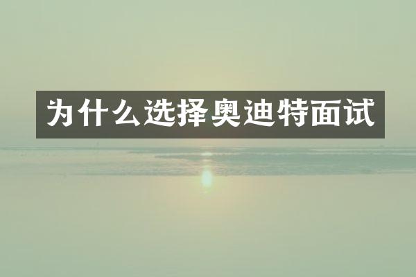 为什么选择奥迪特面试