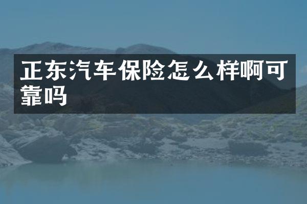 正东汽车保险怎么样啊可靠吗