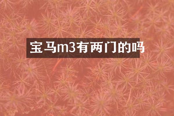 宝马m3有两门的吗