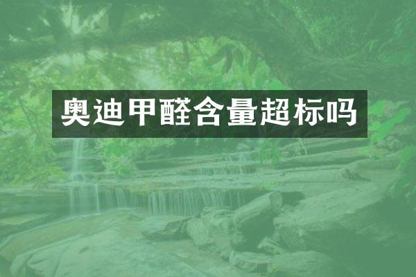 奥迪甲醛含量超标吗