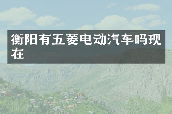 衡阳有五菱电动汽车吗现在