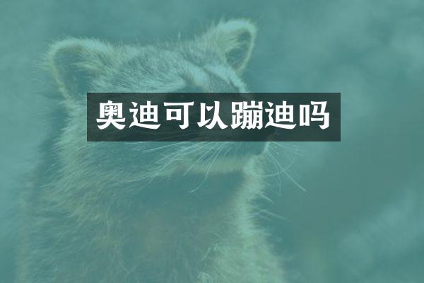 奥迪可以蹦迪吗