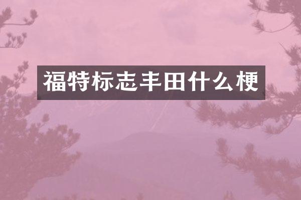 福特标志丰田什么梗