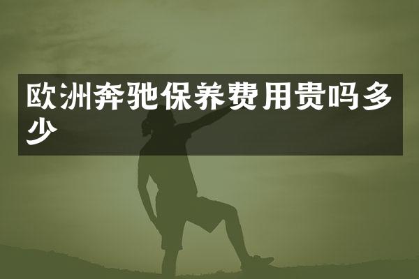 欧洲奔驰保养费用贵吗多少