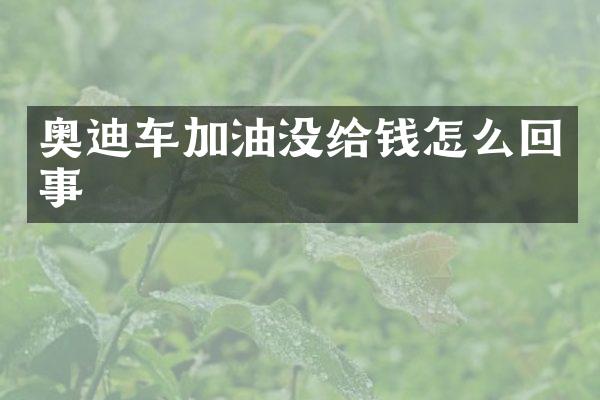 奥迪车加油没给钱怎么回事