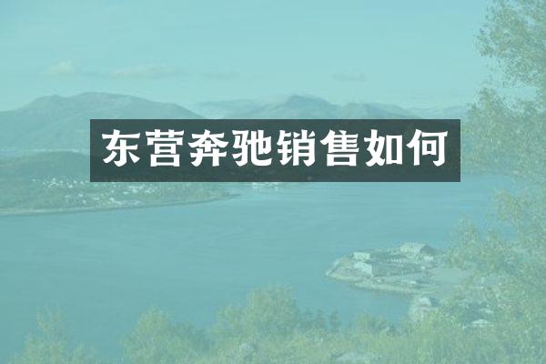东营奔驰销售如何