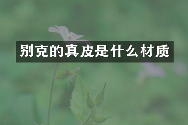 别克的真皮是什么材质
