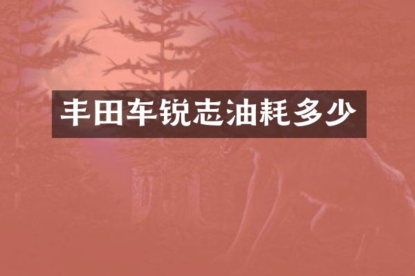丰田车锐志油耗多少