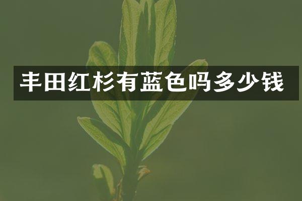 丰田红杉有蓝色吗多少钱