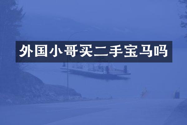 外国小哥买二手宝马吗