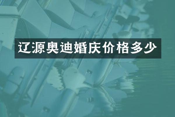 辽源奥迪婚庆价格多少