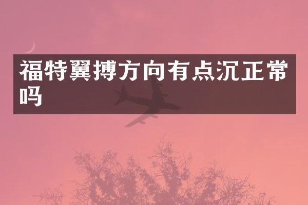 福特翼搏方向有点沉正常吗