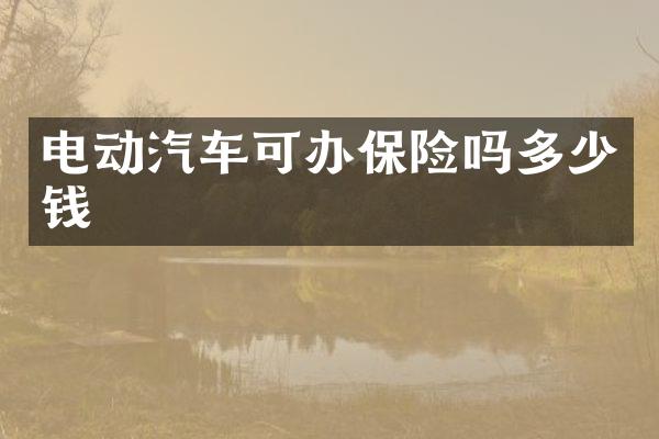 电动汽车可办保险吗多少钱