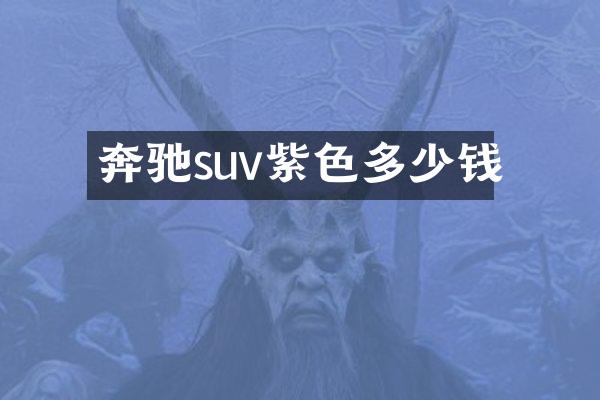 奔驰suv紫色多少钱