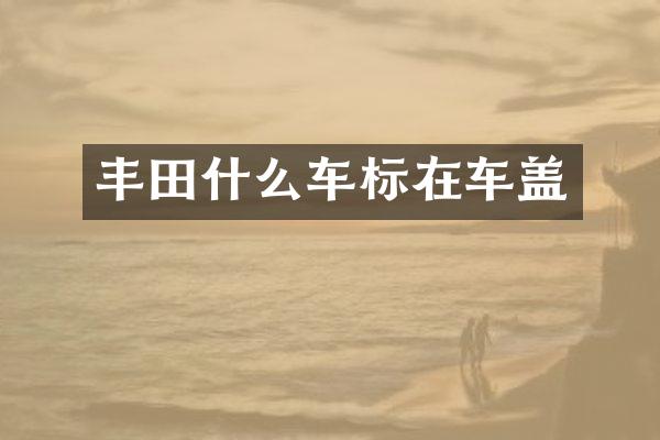 丰田什么车标在车盖