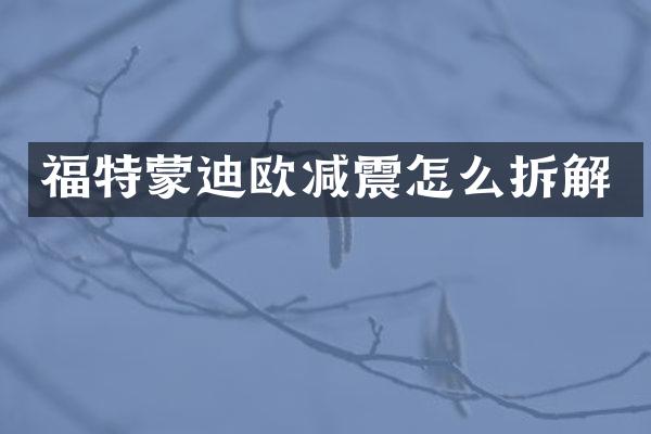福特蒙迪欧减震怎么拆解