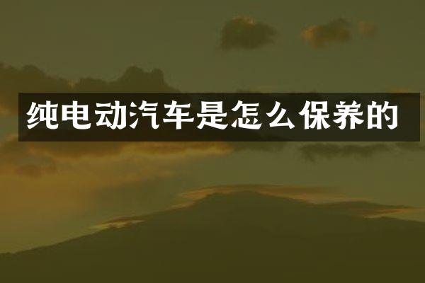 纯电动汽车是怎么保养的