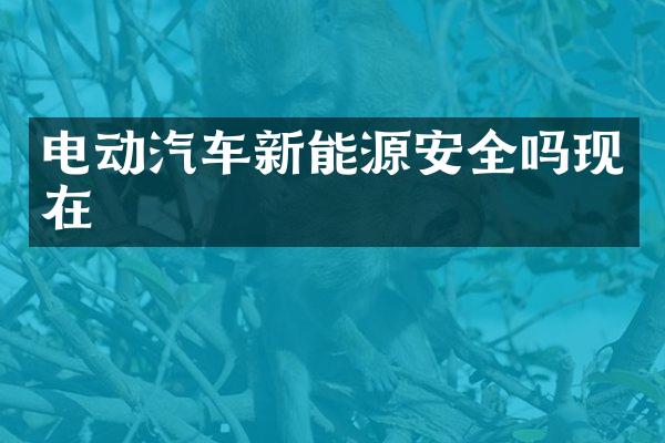 电动汽车新能源安全吗现在