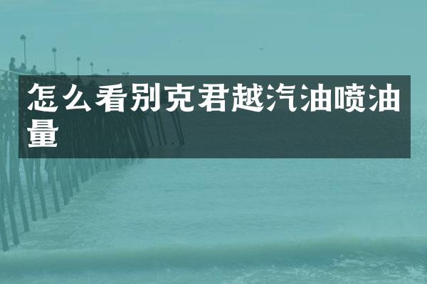 怎么看别克君越汽油喷油量