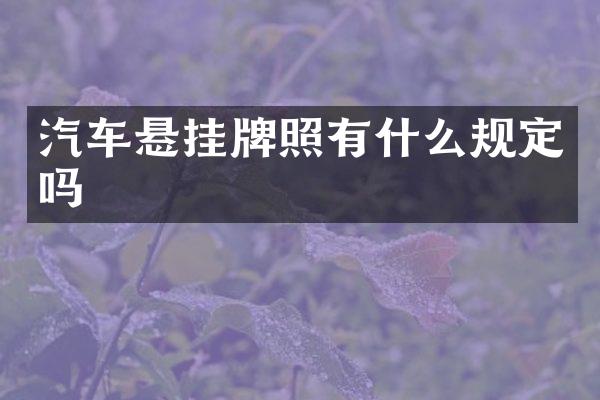 汽车悬挂牌照有什么规定吗
