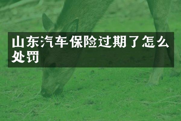 山东汽车保险过期了怎么处罚