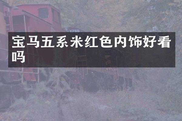 宝马五系米红色内饰好看吗