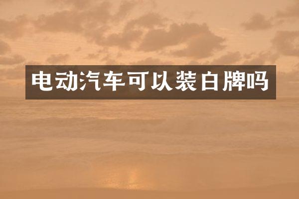 电动汽车可以装白牌吗