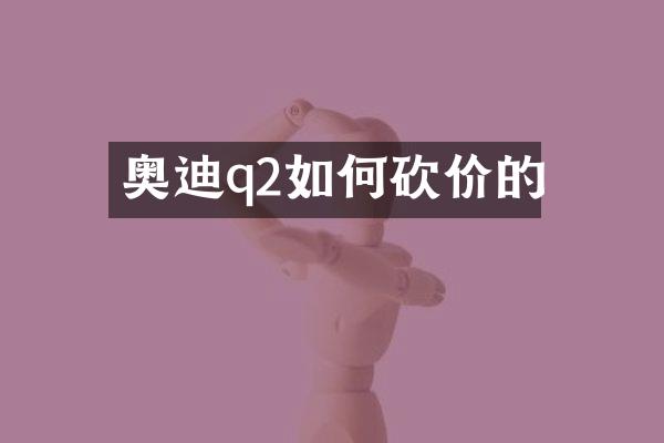 奥迪q2如何砍价的