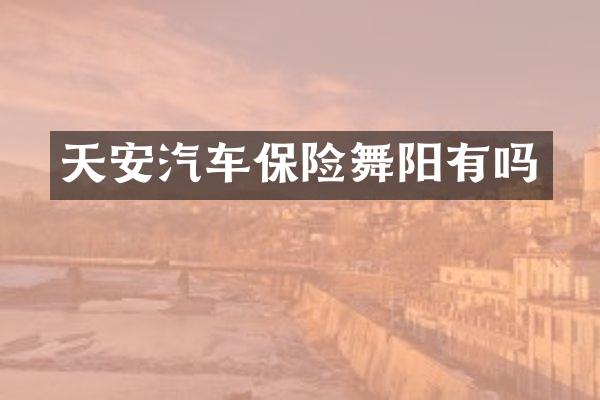 天安汽车保险舞阳有吗