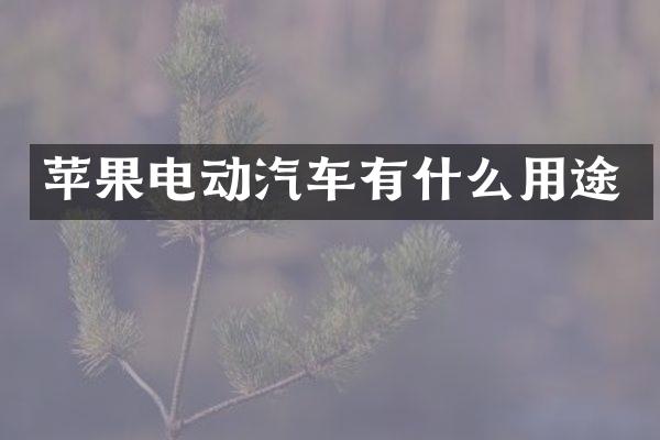 苹果电动汽车有什么用途