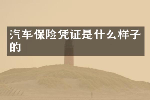 汽车保险凭证是什么样子的
