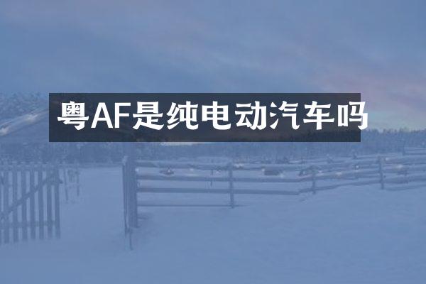 粤AF是纯电动汽车吗