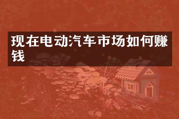 现在电动汽车市场如何赚钱