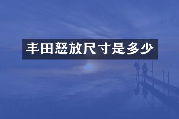 丰田怒放尺寸是多少