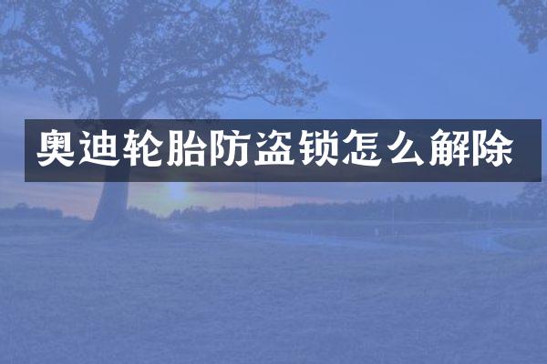 奥迪轮胎防盗锁怎么解除