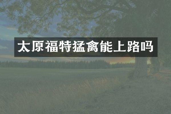 太原福特猛禽能上路吗