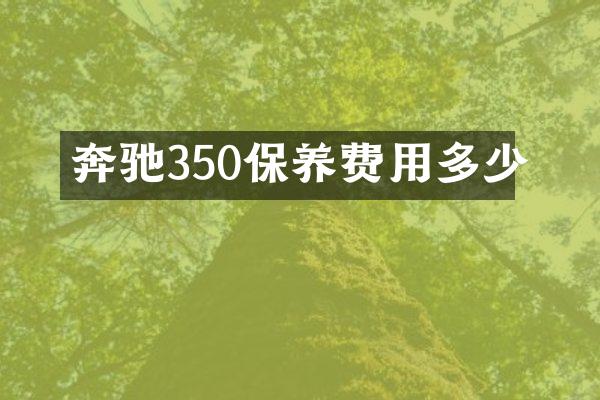 奔驰350保养费用多少